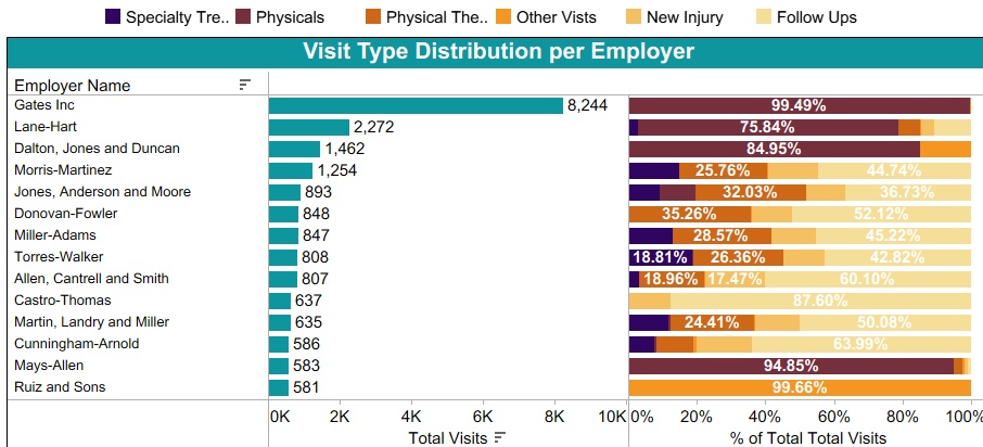 Visit Type Distribution per Employer1